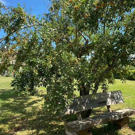 Les Feuilles Jaunes Chantenay-Saint-Imbert Zewnętrze zdjęcie
