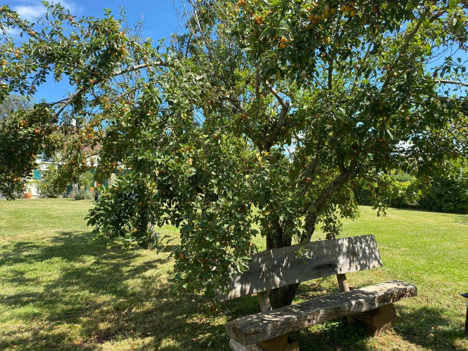 Les Feuilles Jaunes Chantenay-Saint-Imbert Zewnętrze zdjęcie